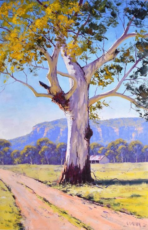 Graham Gercken Oil Paintings, Graham Gercken Paintings, Graham Gercken, Oil Painting Trees, Tree Oil Painting, Australia Landscape, Gum Trees, Australian Trees, Australian Painting