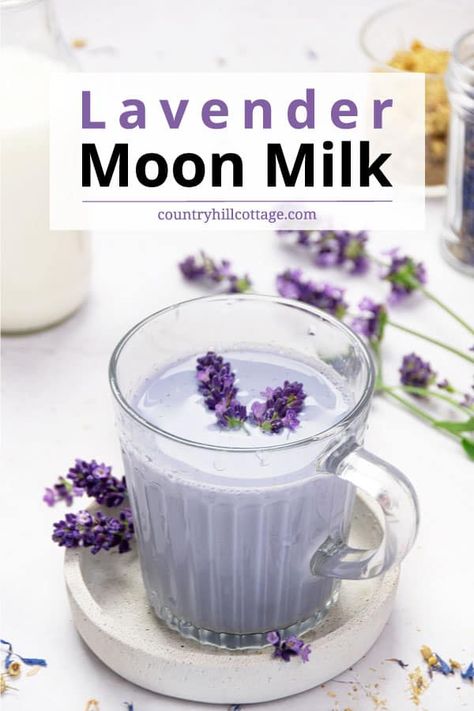 Lavender Milk {Lavender Moon Milk for Restful Sleep} Lavender Moon Milk, How To Make Purple, Moon Milk Recipe, Lavender Milk, Bedtime Drink, Kitchen Witch Recipes, Lavender Moon, Moon Milk, Milk Tea Recipes