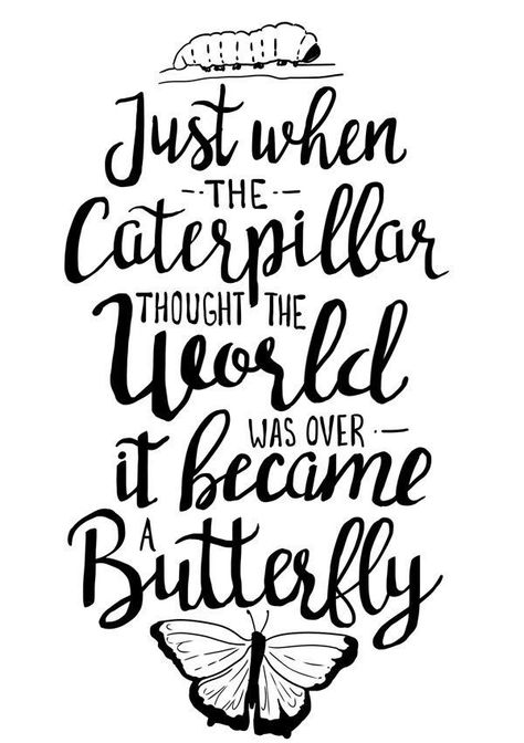 Butterfly Quote Tattoo, Caterpillar Quotes, Butterfly Poems, Caterpillar To Butterfly, Butterfly Quote, Free Printable Quotes, Now Quotes, Butterfly Quotes, Memories Quotes