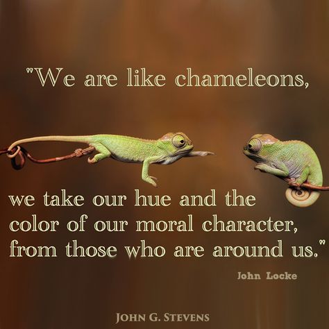 We are like #chameleons, we take our #hue and the #color of our #moral #character, from those who are around us. John Locke  #quote #quoteoftheday Chameleon Quotes, Chameleon Line Tattoo, Chameleon Illustration, Chameleon Craft, Chameleon Facts, Chameleon Care, Chameleons Holding Things, Chameleon Tattoo, Karma Chameleon