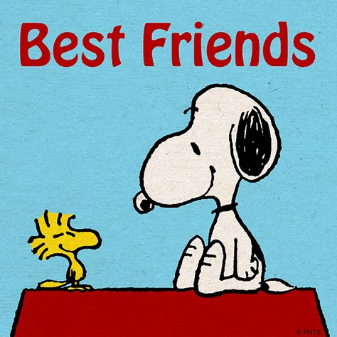 Who's excited to see these best friends in this year's big adventure -- @PeanutsMovie Peanut Pictures, Snoopy Dog, Woodstock Peanuts, Snoopy Images, Peanuts Cartoon, Snoopy Quotes, Snoopy Pictures, Snoopy Woodstock, The Peanuts