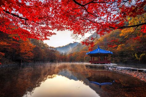 🇰🇷 Rejuvenate Yourself in Jeju Island, South Korea 🏝 – Wanderlog Seoraksan National Park, Autumn In Korea, Korea Photo, Nature Desktop, Sci Fi Wallpaper, Korea Wallpaper, Nature Background Images, Asian Architecture, South Korea Travel