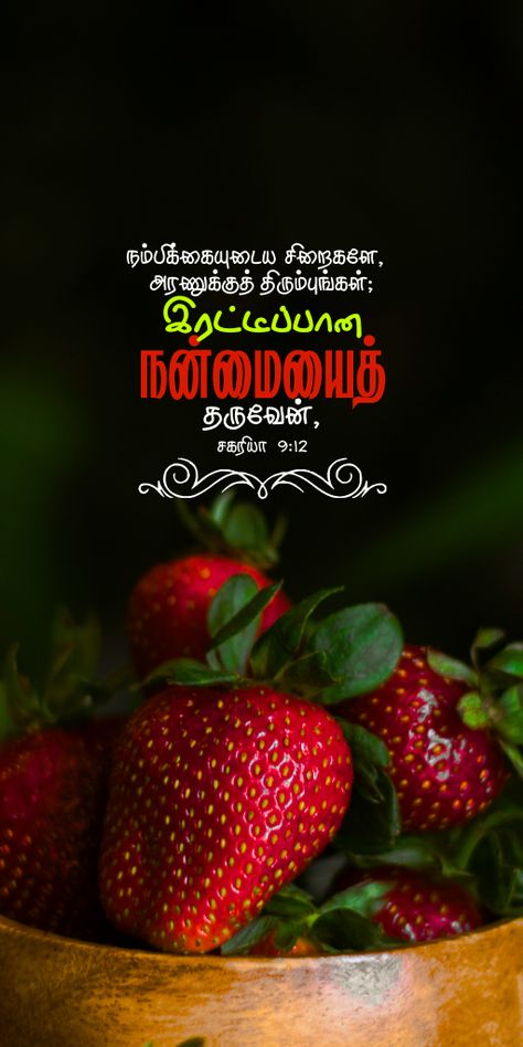 நம்பிக்கையுடைய சிறைகளே, அரணுக்குத் திரும்புங்கள்; இரட்டிப்பான நன்மையைத் தருவேன், இன்றைக்கே தருவேன். [சகரியா 9:12] Bible Words In Tamil, Bible Tamil, Bible Verses In Tamil, Tamil Bible Words, Bible Verse Background, Bible Words Images, Tamil Bible, Bible Quotes Images, Bible Promises