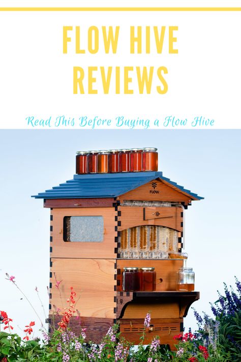 Learn about all of the features the Flow Hive has to offer.  This Flow Beehive review details all of the pros and cons of the Flow Hive. Flow Hive, Bee Keeping, Pros And Cons, Bee Hive, Build Your Own, Worth It, Bee