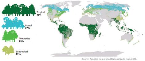 Ecosystem Services, Economic Terms, Forest Resources, Forest Map, Sustainable Management, Green Jobs, Tropical Forests, Conservation Biology, Environmental Research