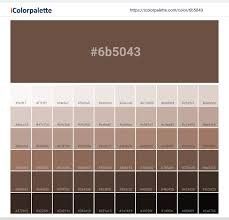 Website Color Palette, Pantone Colour Palettes, Cool Color Palette, Hex Color Palette, Color Schemes Colour Palettes, Palette Art, Skin Color Palette, Paint Color Palettes, Brown Chocolate