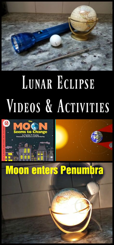 Lunar eclipse videos for kids and hands-on science activity to show stages of an eclipse | STEM for kids | night sky activities #astronomy #science Solar And Lunar Eclipse Activities, Lunar Eclipse Activities For Kids, Lunar Eclipse Video, Sky Activities, Activity Video, Astronomy Club, Eclipse Activities, Eclipse Project, Solar Eclipse Activity