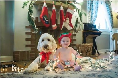 Dog Christmas Cards, Dog And Baby, Baby And Dog, Dog Christmas Photos, Xmas Pics, Dog Christmas Pictures, Christmas Baby Pictures, Doodle Puppies, Baby Christmas Photos