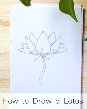 How to Draw Flowers: Step by Step Tutorials for Beginners — JeyRam : Anime Drawings & Sketches Draw Simple Flowers, Easy Realistic Drawings, Realistic Flower Drawing, Cherry Blossom Drawing, Flowers Step By Step, How To Draw Flowers, Easy Flower Drawings, Flower Step By Step, Draw Flowers