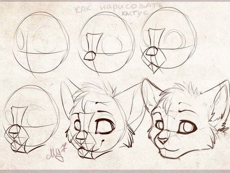 Lup Singuratic, Cat Drawing Tutorial, Cats Art Drawing, Warrior Cat Drawings, Cat Sketch, Warrior Cats Art, Warrior Cat, Dessin Adorable, Anime Drawings Tutorials