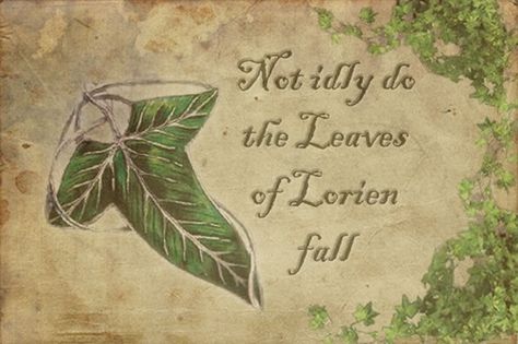 Leaves Of Lorien Tattoo, Hobbit Room, Tolkien Collection, Leaves Of Lorien, Hobbit Life, Fantasy Diy, Middle Earth Books, Lotr Tattoo, Norwegian Wood