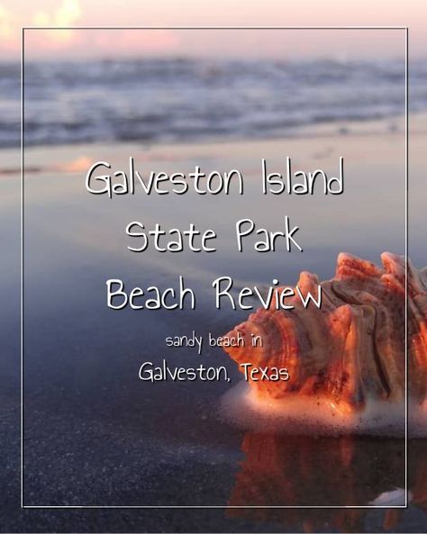 Galveston Island State Park Beach is an amazing sandy beach in Galveston, Texas. Click the image to read the beach description, view photos, videos, read real reviews and view map location. #GalvestonIslandStateParkBeach #TexasBeaches #Galveston #Texas #travel #USAbeaches #GulfCoast #Beach #BeachVacation #BeachTrip #Vacation Galveston Texas Beach, Couple Travel Photos, Manchester Travel, Texas Beaches, Galveston Island, Galveston Texas, Usa Beaches, Camping Holiday, Family Vacation Destinations