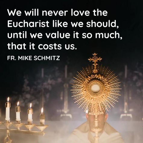 Quote from the Homily of Fr. Mike Schmitz on June 6th, 2021. You can find it on YouTube at Ascension Presents. Fr Mike Schmitz Quotes, Eucharist Quotes, Mass Quotes, Faith Aesthetic, Fr Mike Schmitz, Father Mike Schmitz, Holy Eucharist, Eucharistic Adoration, Blessed Sacrament