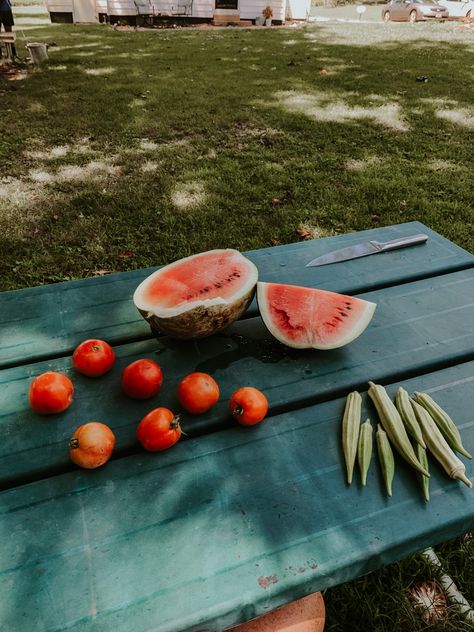 Summertime, watermelon, tomatoes, okra, garden, simple, harvest, homestead, seeds, grow, country Okra Garden, Garden Simple, Garden Harvest, Okra, Country Life, Tomatoes, Watermelon, Seeds