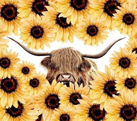 Western Aesthetic Wallpaper, Cow Wallpaper, Country Backgrounds, Cow Print Wallpaper, Western Wallpaper Iphone, Cow Pictures, Chapeau Cowboy, Sunflower Wallpaper