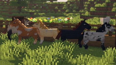 Minecraft Horse Mods, Horse Farm Layout, Minecraft Horse, Minecraft Texture Pack, Leopard Appaloosa, Horse Animation, Farm Layout, Teapot Design, Minecraft Pocket Edition