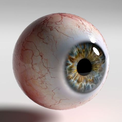 Eye Structure, 3d Eye, Blender 3d, Get It, Close Up, Human, Anime