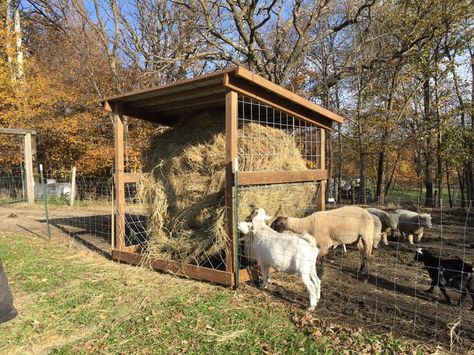 Hay feeder Large Square Hay Feeder, Diy Hay Feeder, Sheep Feeders, Round Bale Feeder, Goat Hay Feeder, Goat Feeder, Goat Playground, Horse Feeder, Livestock Shelter