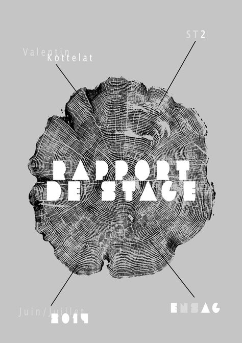 Rapport de stage (version 05 09) Stage Architecture, Mises En Page Design Graphique, Penguin Books Covers, Graphisme Design, Cv Template Word, Penguin Book, Report Design, Event Poster Design, Flyer Layout