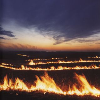 . Goddess Of Fire, Prairie Fire, Rhaenys Targaryen, Fire Blue, Visenya Targaryen, Lord Of The Flies, Targaryen Aesthetic, Wheel Of Time, Fire And Blood