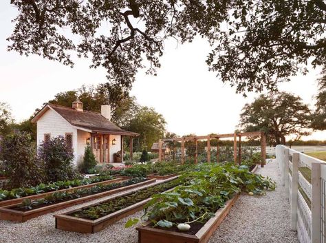 30 Amazing Ideas For Growing A Vegetable Garden In Your Backyard Joanna Gaines Garden, Joanna Gaines Farmhouse, Flip House, Villa Rica, Cottage Garden Design, Rustic Italian, Tuscan House, Baylor University, Magnolia Market