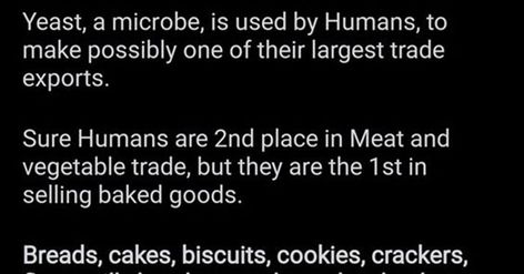 Humans are Space Orcs - Baked Goods Humans Are Space Orcs, Story Time, Yeast, Baked Goods, Human, Writing, Baking