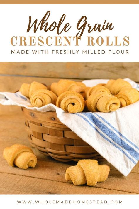 Fresh Milled Dinner Rolls, Fresh Milled Rolls, Cresent Roll Dough, Crescent Roll Recipe, Simple Homestead, Homestead Cooking, Homemade Crescent Rolls, Thanksgiving Rolls, Savory Spice