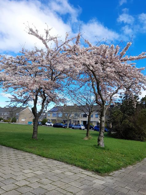 Den Helder