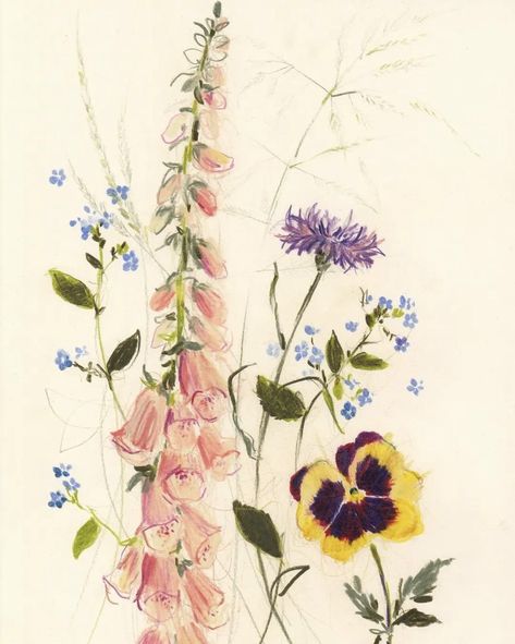 Claudia Lowry, Drawing Colour Pencil, Style Curator, Pencil Drawings Of Flowers, Hand Drawn Floral, Colour Pencil, Drawn Floral, Floral Poster, Pencil On Paper