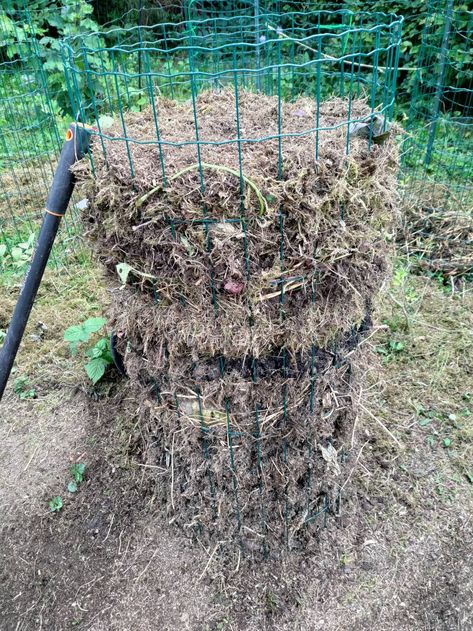 Chicken Food Tower, Chicken Compost, Chicken Composting, Metal Dog Cage, Vertical Planter, Old Dog, Chicken Food, Dog Cages, Earthworms