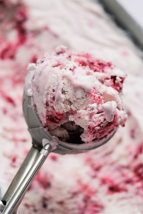 Black Cherry Ice Cream Black Cherry Ice Cream Recipe, Waxmelts Ideas, Black Cherry Ice Cream, Cherry Ice Cream Recipe, Summer Backyard Party, Dessert Inspiration, Cherry Ice Cream, Churn Ice Cream, Ice Cream Mixture