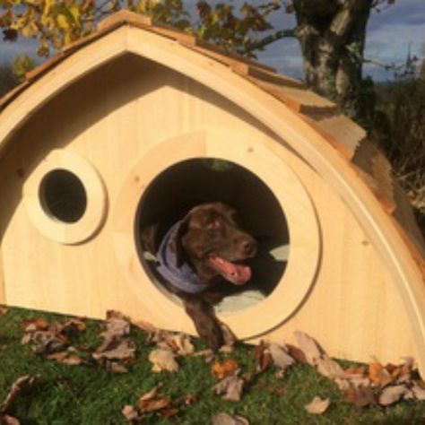 12 Incredible Dog Houses for Your Best Friend | Family Handyman Camper Dog House, Dog Den, Dogs Diy Projects, Cool Dog Houses, Clever Dog, Dog House Diy, Hobbit Hole, Cozy Dog, Pet Urine