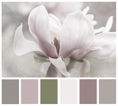 Lavender Ideas, Magnolia Print, Grey Lavender, Wedding Purple, Natural Palette, Design Seeds, Color Harmony, Magnolia Flower, Colour Board