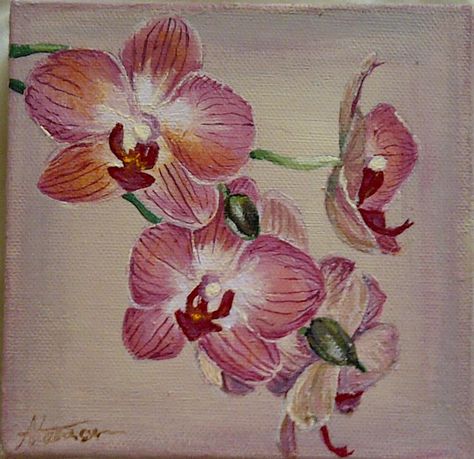 Orchid Painting Acrylic Easy, Orchid Painting, Orchids Painting, Beautiful Orchids, Colour Scheme, Pretty Art, Painting Techniques, Acrylic On Canvas, Watercolor Flowers