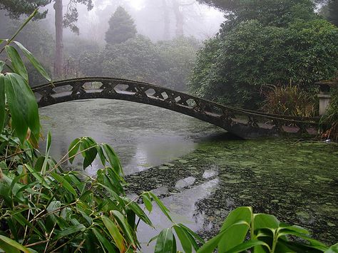 Kakariko Village, Dark Naturalism, Theme Nature, Nature Aesthetic, Pretty Places, Green Aesthetic, Japanese Garden, Green Plants, Garden Bridge