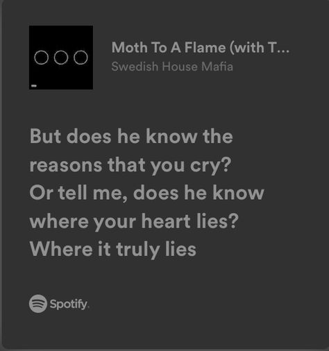 Moth To A Flame Lyrics, Moth To A Flame, Swedish House Mafia, Cleaning My Room, Music Poster Design, The Flame, Pretty Lyrics, Music Poster, Moth