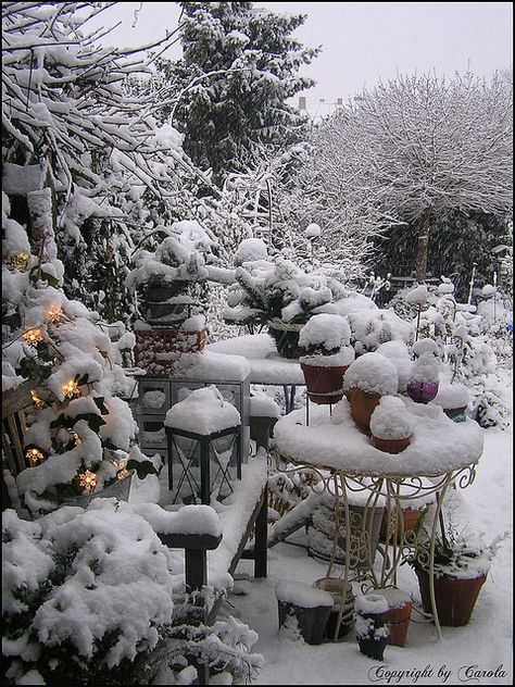 White Christmas, Twinkle Lights On My Deck. ......I wish that was my deck!!   <3 it!!!       Di Snowy Garden, Gardening Magazine, Magic Garden, I Love Winter, Winter Love, Christmas Garden, Winter Magic, Winter Scenery, Olive Garden