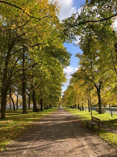 Walking, running, living Scenic Walk Aesthetic, Walks In The Park, Afternoon Walk Aesthetic, Long Walk Aesthetic, Spring Walk Aesthetic, Outdoor Walks Aesthetic, Walk Backgrounds, Walking Trail Aesthetic, Taking Walks Aesthetic