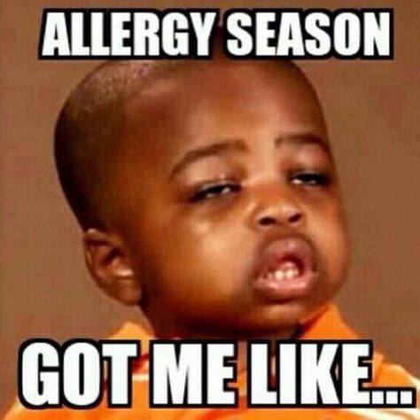 Seasonal Allergies Funny, Tennessee Football Memes, Allergy Memes, Allergies Funny, How To Boost Your Immune System, Allergy Season, Holistic Approach To Health, Seasonal Allergies, Football Memes