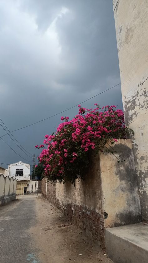 Punjab Aesthetic Pics, Pind Village Snap, Punjabi Snap Streaks, Village Aesthetic Indian, On The Way, Fake Snaps Aesthetic, Punjab Village Photography, Village Snapchat Story, Indian Village Aesthetic