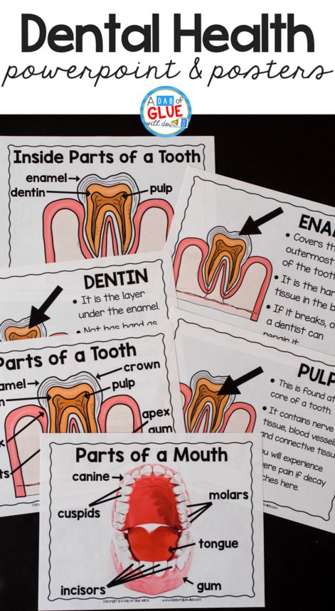 Engage your class in an exciting hands-on experience learning all about teeth! This dental health science unit is perfect for science in Preschool, Pre-K, Kindergarten, First Grade, and Second Grade classrooms and packed full of inviting science activities. Teeth Lesson Plans Preschool, Teeth Experiments For Kids, Preschool Teeth Activities, Dental Week Preschool Activities, Dental Health Preschool Activities, Health Science Classroom, Tooth Preschool, Dental Health Unit, Dental Health Week