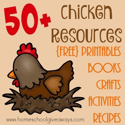 If you're studying chickens, their life cycle or getting ready to add them to your little farm, check out these great resources to make it part of your homeschool learning! :: www.homeschoolgiveaways.com Chicken Lesson Plans Preschool, Lifecycle Of A Chicken Preschool, Chicken Homeschool Unit, Chicken Life Cycle Kindergarten, Lifecycle Of A Chicken, Farm Unit Study, Flower Life Cycle, Chicken Life Cycle, Life Cycles Activities