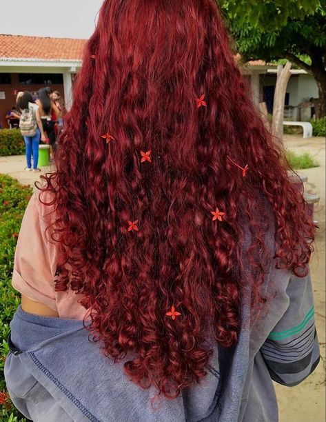 Dark Red Hair Color Curly, Red Curly Hair Dyed, Cherry Red Hair Curly, Bright Red Curly Hair, Dark Red Curly Hair, Dye Hairstyles, Red Hair Inspiration, Cherry Red Hair, Red Dye