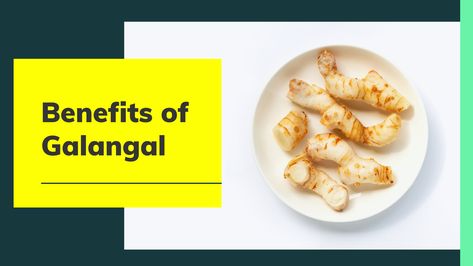 In today's video, we are going to see the health benefits of galangal and why you should eat galangal everyday. Click here to know more about it. Galangal Benefits, Health Benefits, Click Here, Nutrition, Benefits, Health