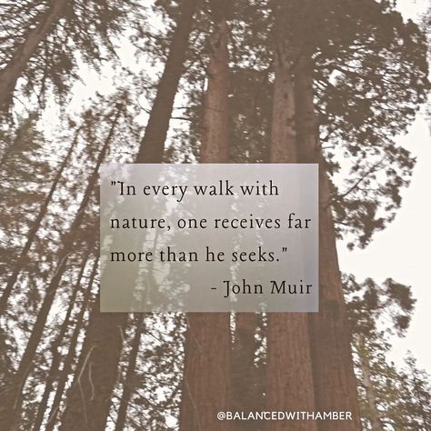 The amount of peace I get from being surrounded by trees is unmatched! Spending time in nature has so many physical and mental health benefits! #earthday #balancedwithamber #environmentalwellness #johnmuir #inspirationalquotes #sequoias #nature #mentalhealthmatters #hiking Spending Time In Nature, Time In Nature, Finding Balance, John Muir, Mental Health Matters, In Nature, Health Benefits, Physics, Hiking