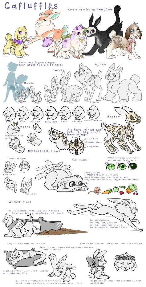 Made Up Species Drawing, Original Species Reference Sheet, Open Species Reference Sheet, Candy Animals, Fursona Ref Sheet, Open Species, Original Species, Closed Species, Cute Fantasy Creatures