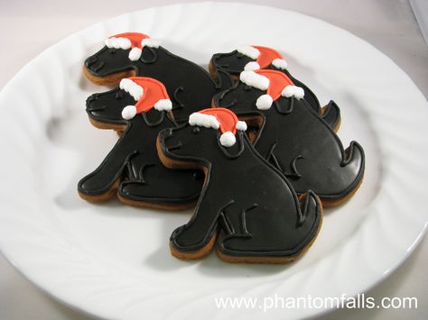 Black Lab Cookies, Piped Cookies, Biscuit Decoration, Golden Border, Dog Business, Border Collie Mix, Collie Mix, Dog Cakes, Popular Dog Breeds