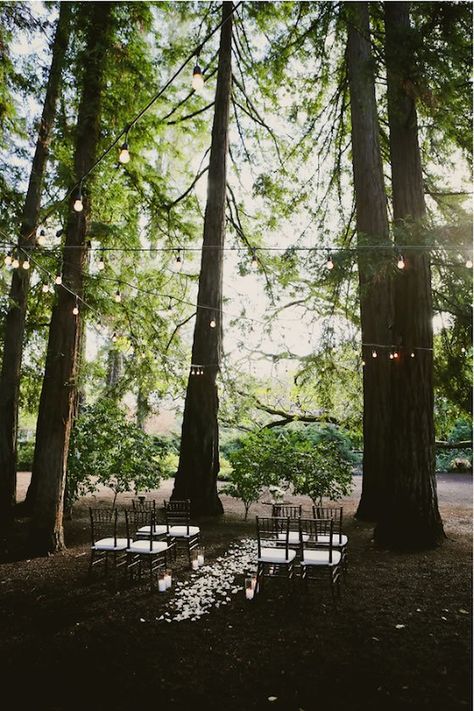 17 Elopement Ideas: Simple ceremony decor Simple Ceremony Decor, Wedding Small, Yosemite Wedding, Wedding Beach Ceremony, Elopement Ceremony, Small Intimate Wedding, Ceremony Decor, Elopement Ideas, Wedding Ceremony Decorations