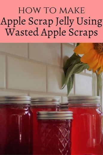 Did you know that apple jelly exists? Even better- did you know that you can make apple jelly from the waste and scrap materials from your apple desserts or applesauce? Well, you can! Let me show you how you can transform this waste into a delicious apple jelly. apple jelly | apple scraps | applesauce | apples | diy | jelly | homemade | make it yourself | apple scrap jelly Apple Core Jelly, Apple Core Uses, Apple Scrap Jelly With Pectin, Canning Apple Scrap Jelly, Apple Scrap Jelly No Pectin, Spicy Apple Jelly, Scrap Apple Jelly, Apple Jelly From Peels And Cores, Homemade Apple Jelly