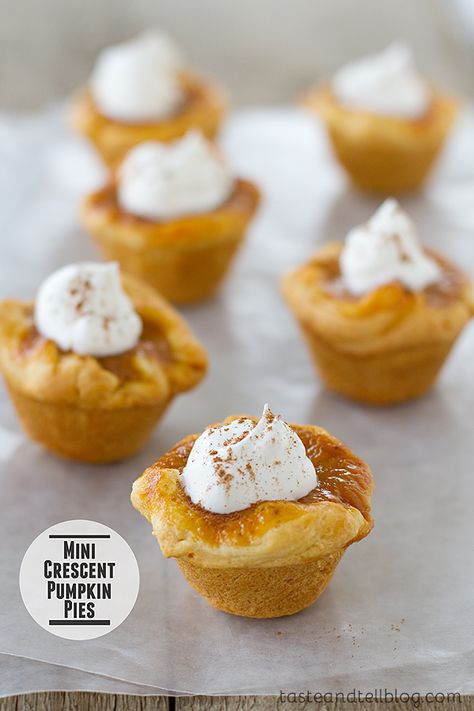 Mini Crescent Pumpkin Pies | Taste and Tell Sweet Potato Pie Filling, Taste And Tell, Sweet Appetizer, Thanksgiving Potluck, Mini Pumpkin Pies, Pie Bites, Pumpkin Desserts, Pumpkin Pies, Pumpkin Pie Recipes